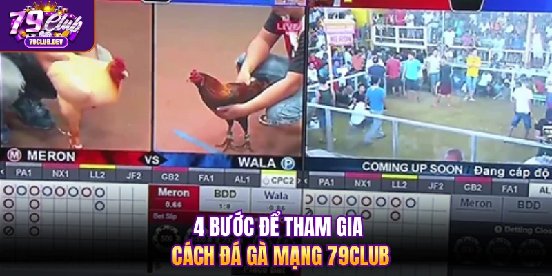 4 bước để tham gia cách đá gà mạng 79club 4 bước để tham gia cách đá gà mạng 79club