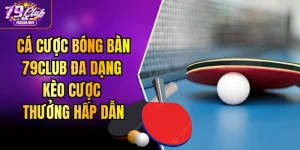 Cá Cược Bóng Bàn