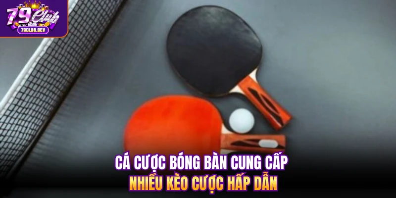 Cá cược bóng bàn cung cấp nhiều kèo cược hấp dẫn