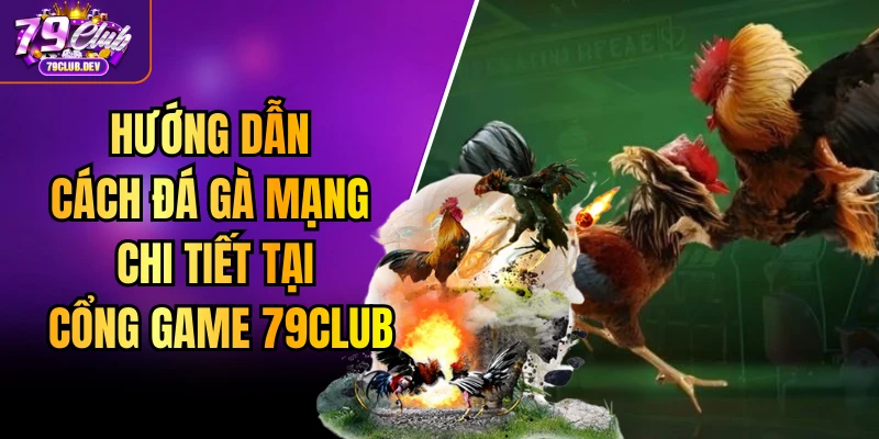 Cách Đá Gà Mạng