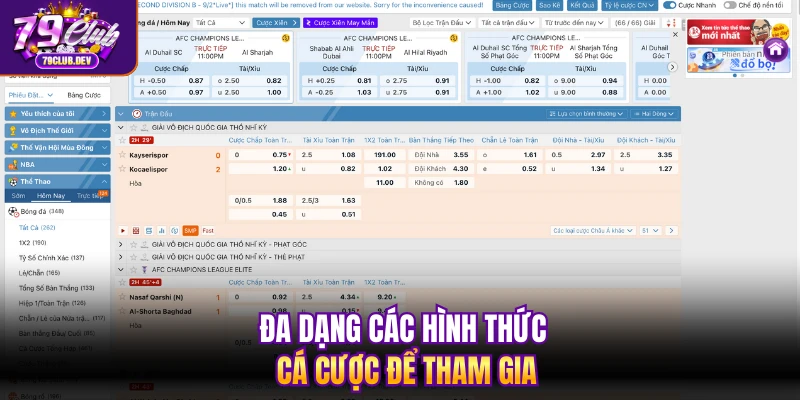 Đa dạng các hình thức cá cược để tham gia Đa dạng các hình thức cá cược để tham gia