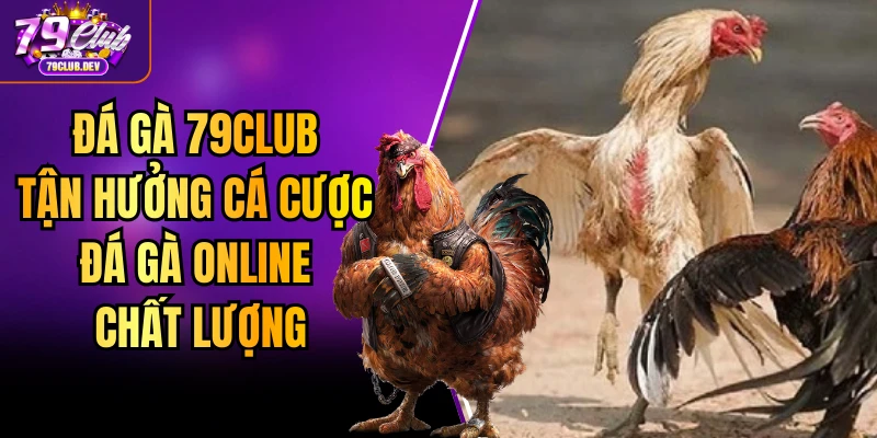 Đá Gà 79club - Tận Hưởng Cá Cược Đá Gà Online Chất Lượng