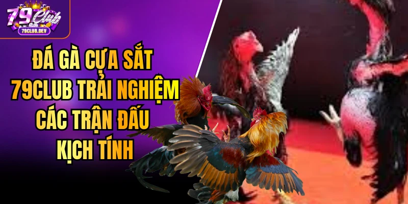 Đá Gà Cựa Sắt