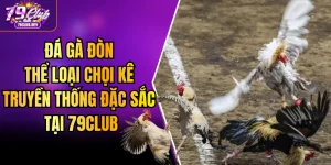 Đá Gà Đòn