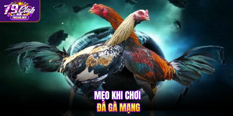 Mẹo khi chơi đá gà mạng Mẹo khi chơi đá gà mạng