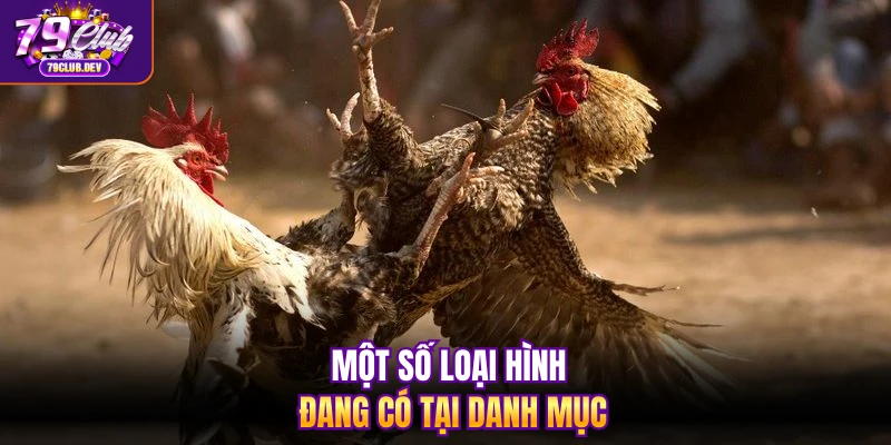 Một số loại hình đang có tại danh mục