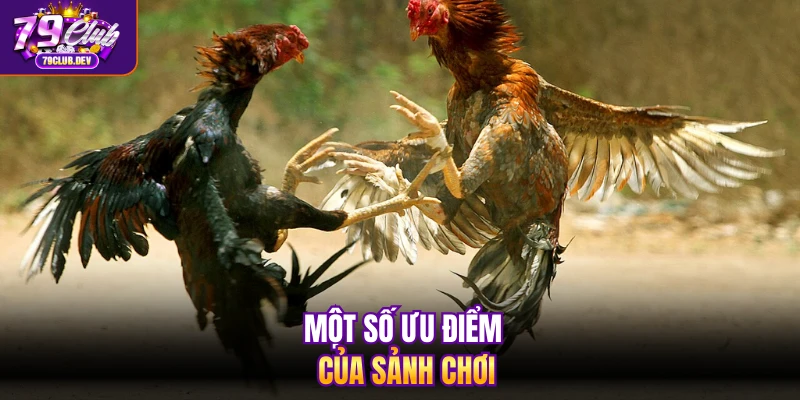 Một số ưu điểm của sảnh chơi