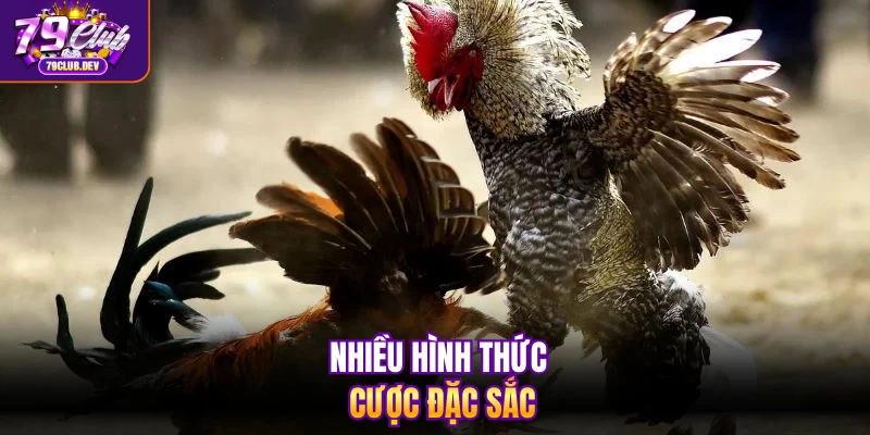 Nhiều hình thức cược đặc sắc